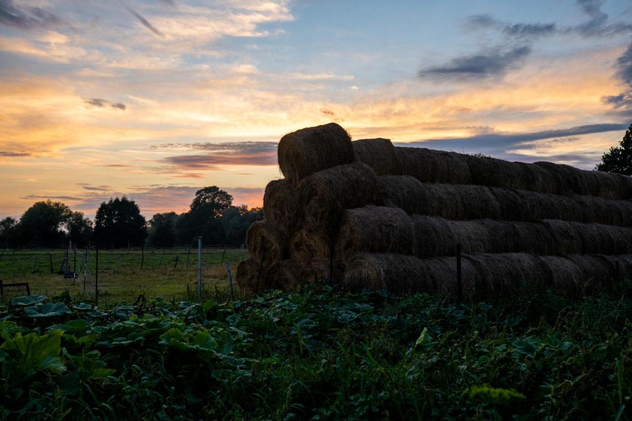 Bizon Vendégház Sadowne Kültér fotó