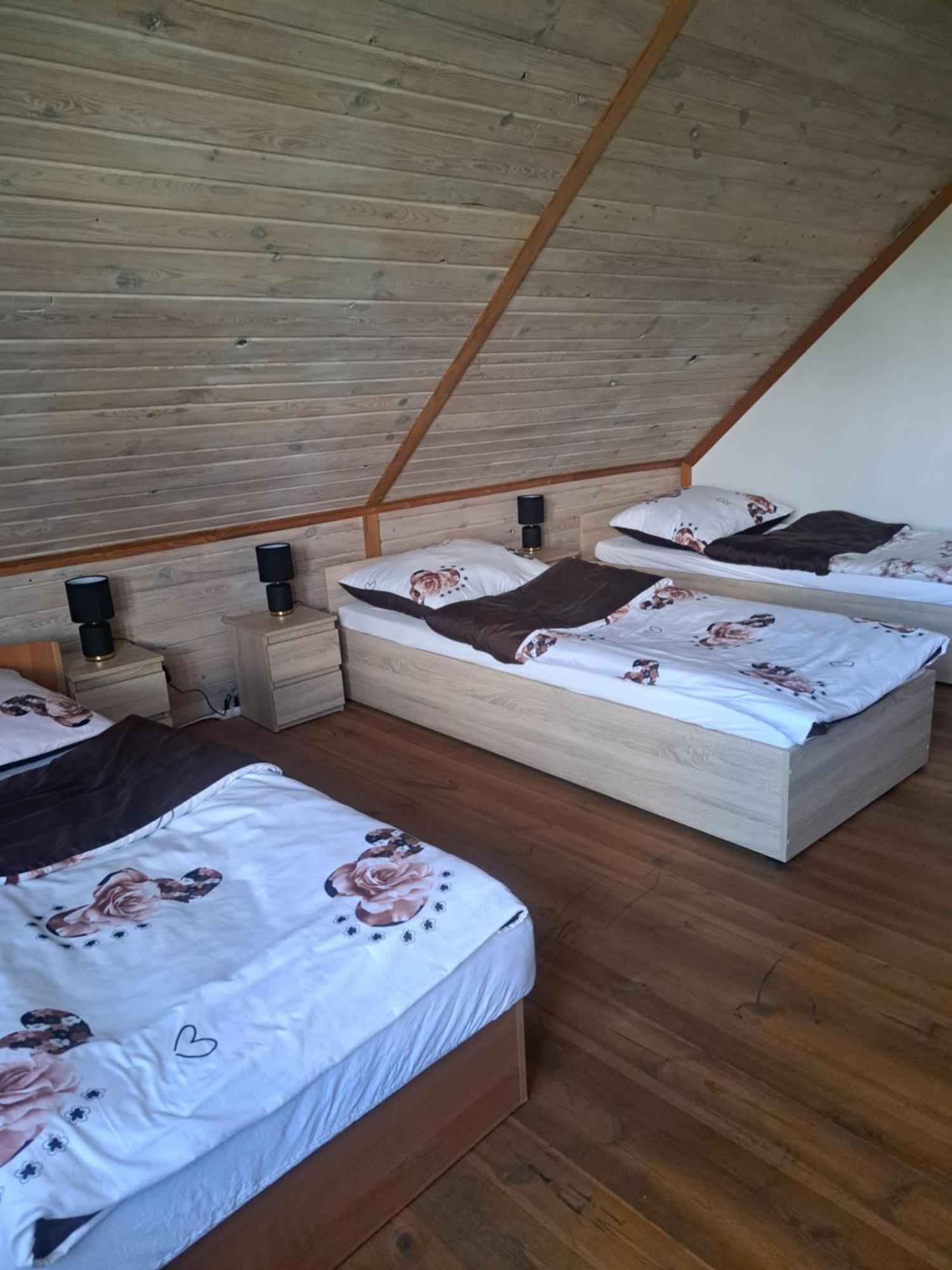 Bizon Vendégház Sadowne Kültér fotó