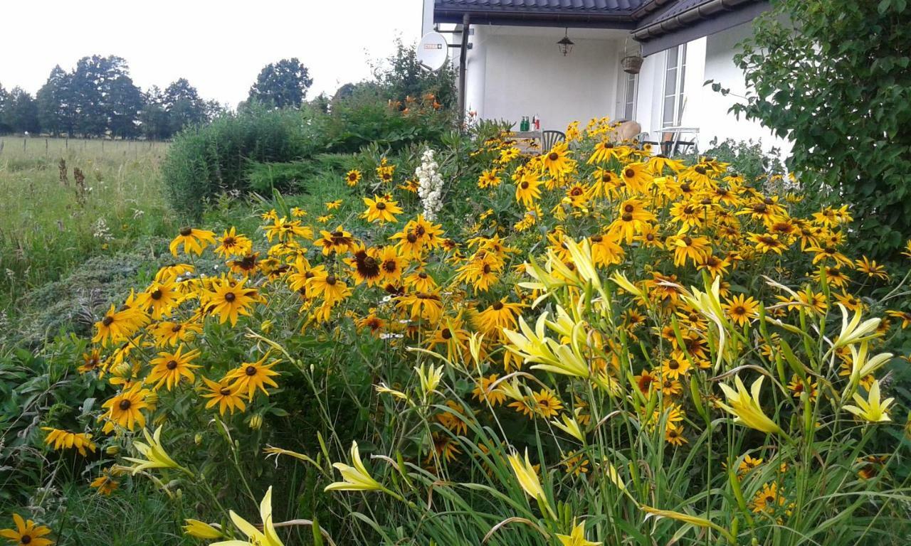 Bizon Vendégház Sadowne Kültér fotó
